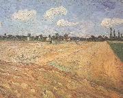 Vincent Van Gogh Ploughed Field (nn04) china oil painting artist